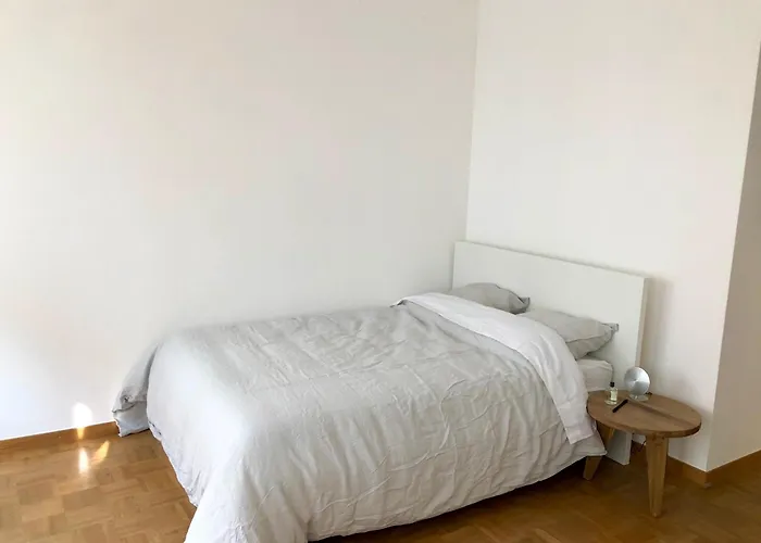 Apartament Cozy In The Centre Of The *